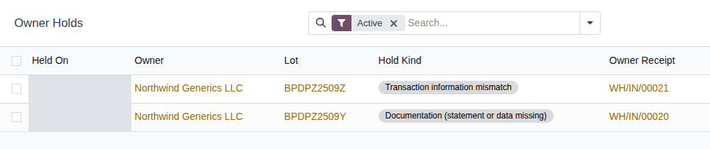 Screenshot of the Owner Holds list: a transaction information mismatch hold and a documentation hold, both for Northwind Generics LLC.