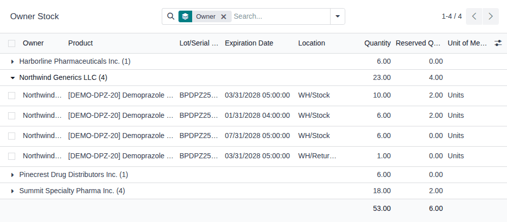 Screenshot of Owner Stock grouped by owner, with the Northwind Generics LLC group open on its four lines and the group totals.